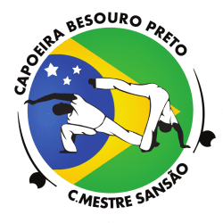 ASVÖ W_Capoeira Besouro Preto_Bewegt im Park